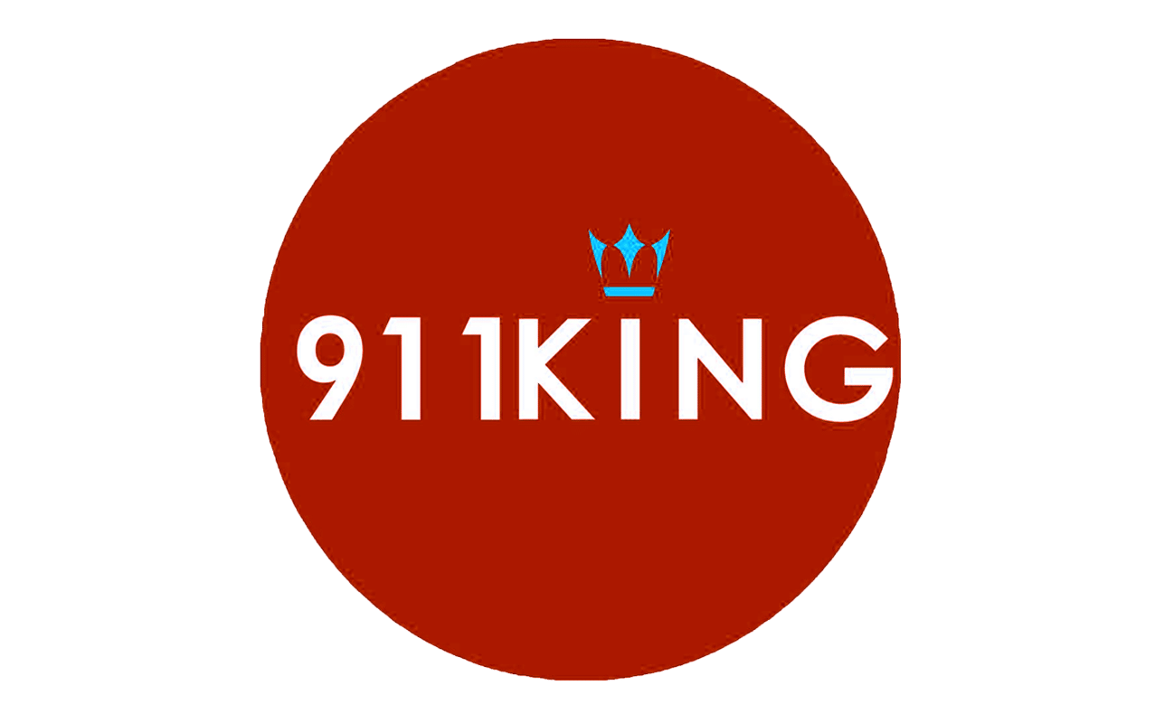 911king.pro-logo